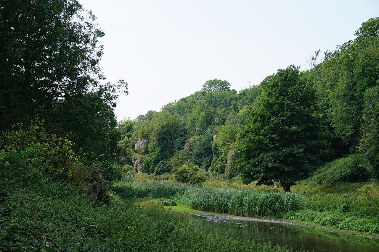 Creswell crags